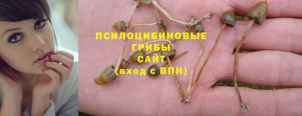 амф Переславль-Залесский