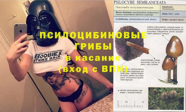 амф Переславль-Залесский