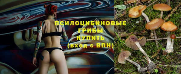 дживик Костерёво