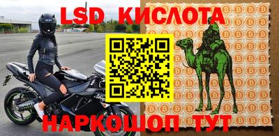 шишки Краснодар