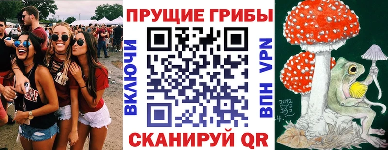 Псилоцибиновые грибы Psilocybine cubensis Красный Сулин