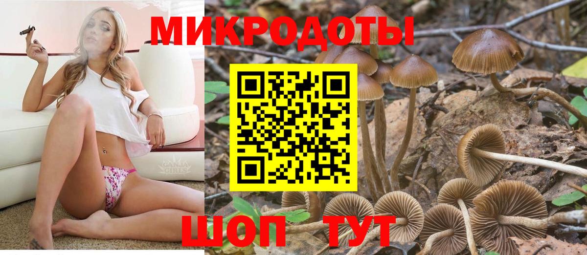 Красный Сулин  Псилоцибиновые грибы MAGIC MUSHROOMS  Вход с VPN 