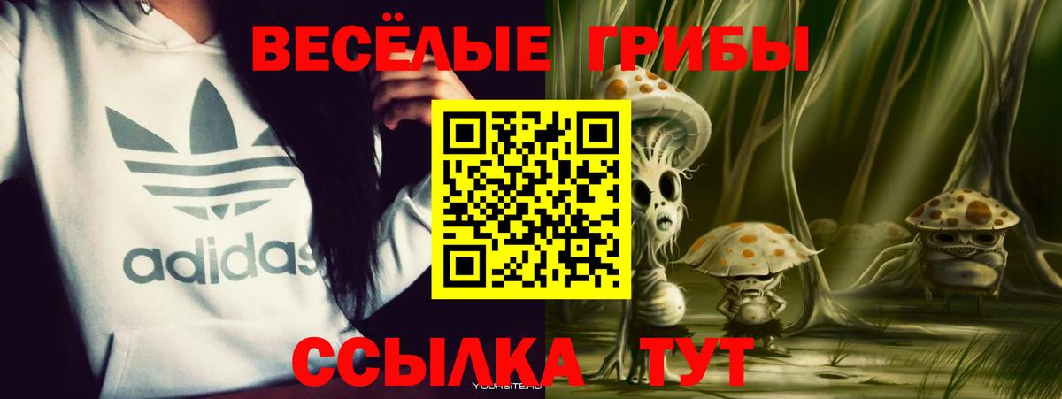 Псилоцибиновые грибы GOLDEN TEACHER Красный Сулин
